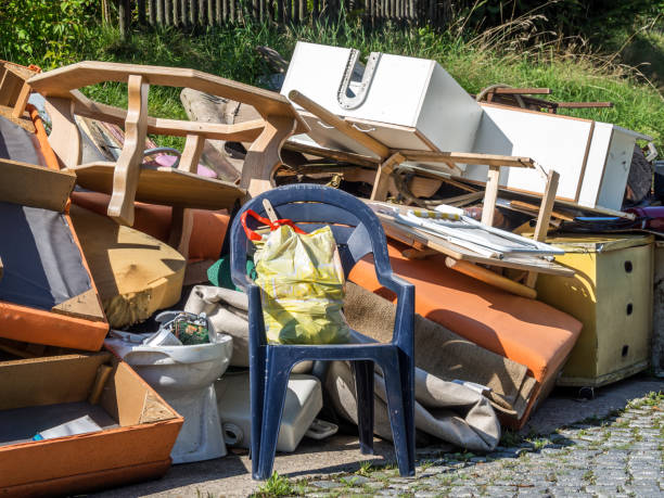 Best Yard Waste Removal  in Apple Valley, MN